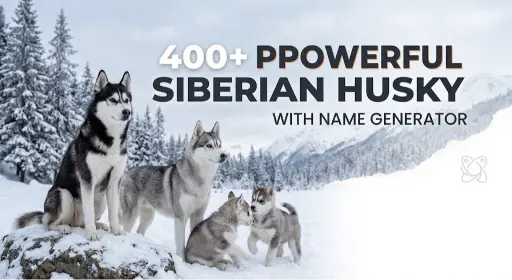 Powerful Siberian Husky Names With Name Generator